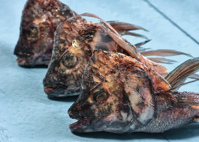 Cabeza De Mojarra