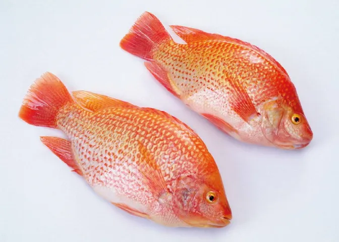 Mojarra Roja
